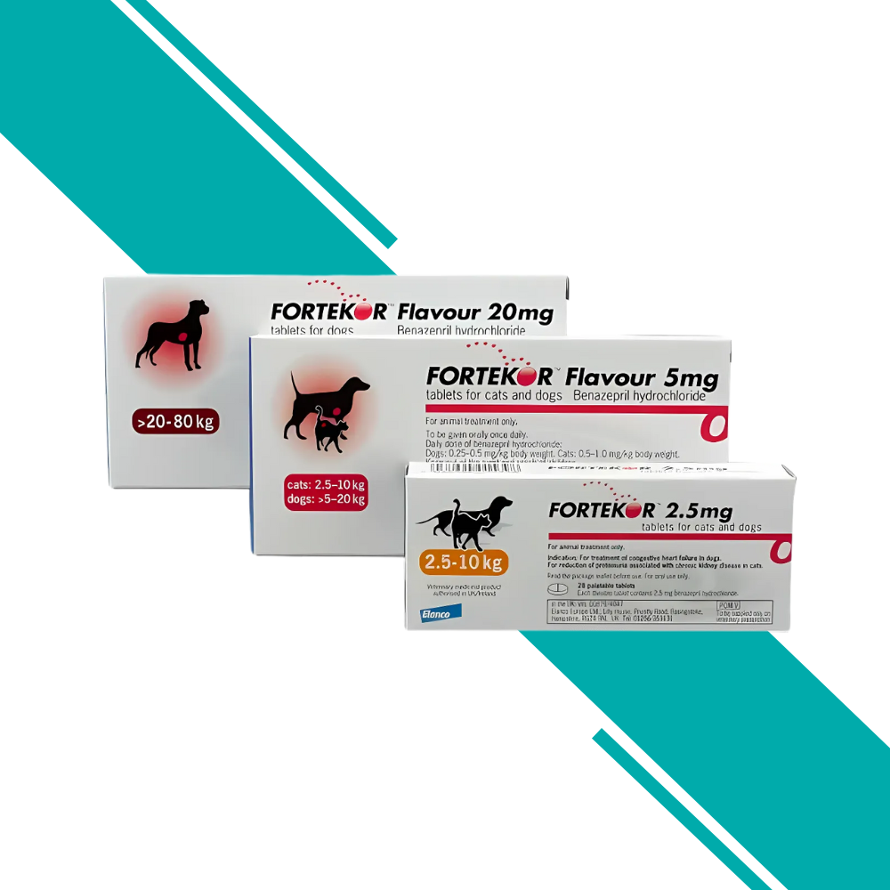 Fortekor Flavour (Palatable) Tablets